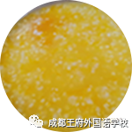 王府美食速递| 一起围观舌尖上的成都王府