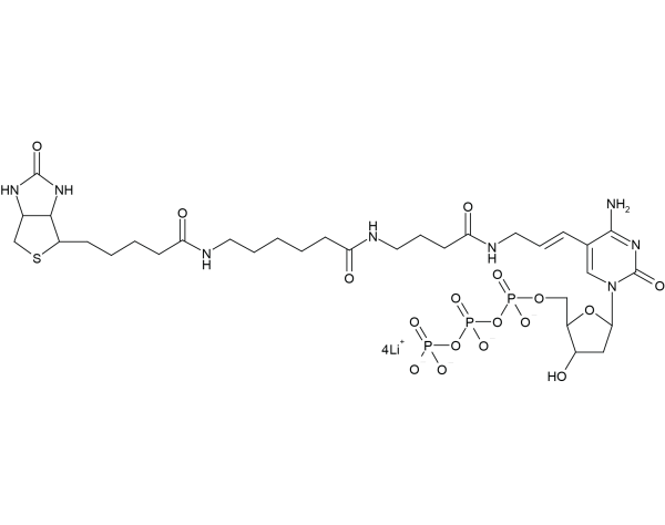 Biotin-16-Aminoallyl-2'-dCTP - (N-5002)