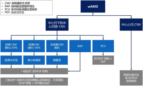 2021年眼科抗VEGF藥物行業(yè)市場銷售規(guī)模前景預(yù)測及重點企業(yè)發(fā)展戰(zhàn)略規(guī)劃分析