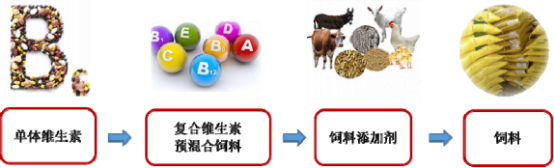 维生素行业市场供需平衡度研究及重点企业发展战略规划分析