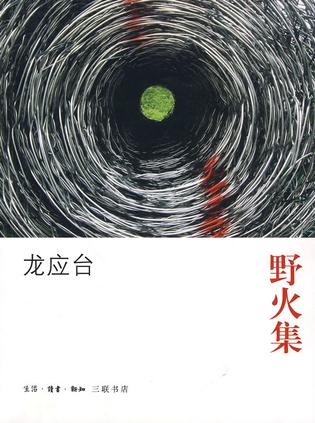  經(jīng)典文學(xué)40年?龍應(yīng)臺《野火集》