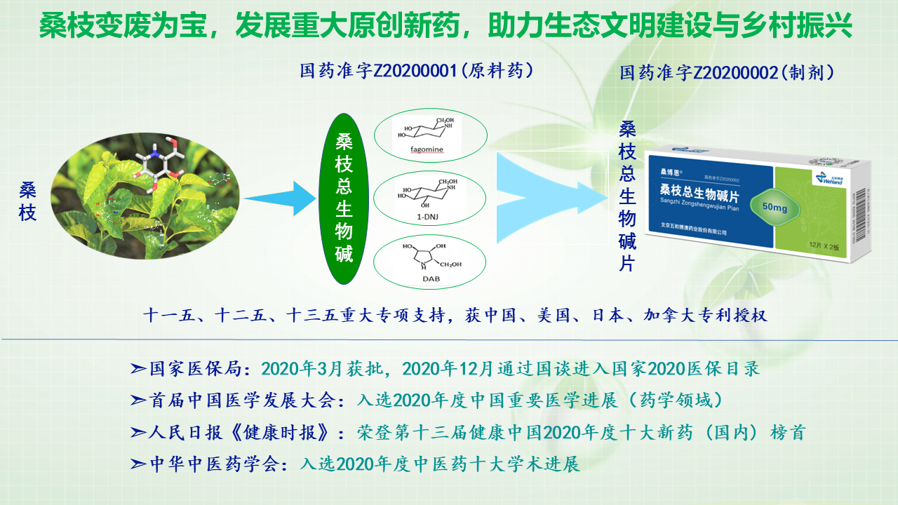 桑枝总生物碱亮相国家“十三五”科技创新成就展