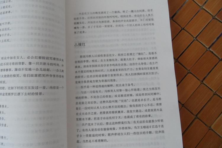 經(jīng)典文學(xué)40年?韓少功《馬橋詞典》