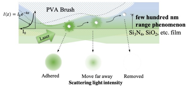 PVA刷接触式清洗过程中超细颗粒清洗现象