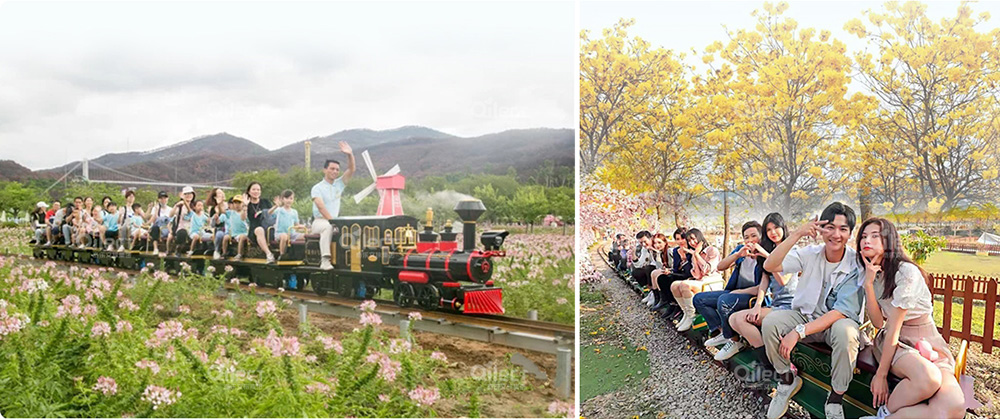 網紅觀光小火車 網紅觀光小火車