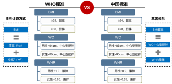 减肥药物行业市场发展规模增长趋势分析预测及竞争战略研究预测评估