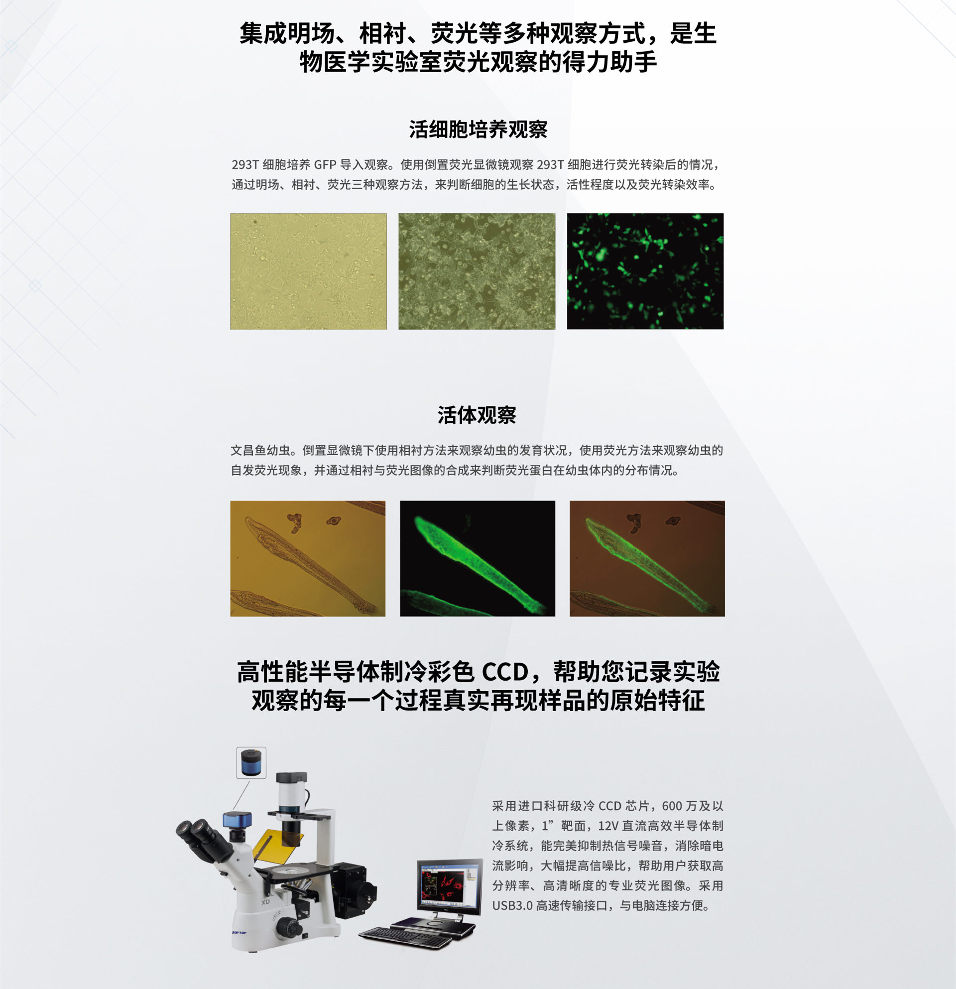 XD系列倒置生物显微镜