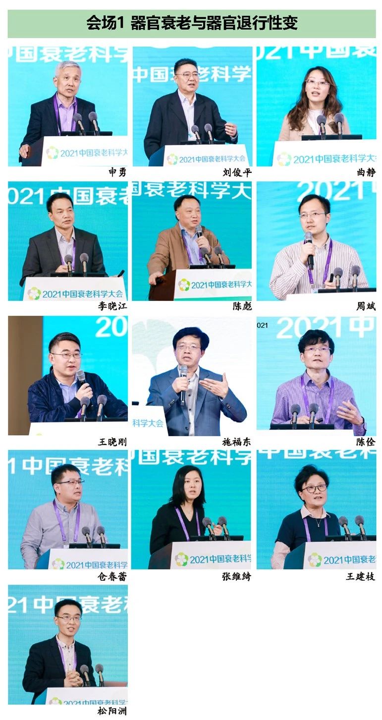 拜谱精彩回顾丨中国衰老科学大会(CASC) 拜谱精彩回顾丨中国衰老科学大会(CASC)