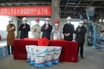 全水溶硫酸钾项目顺利通过竣工验收