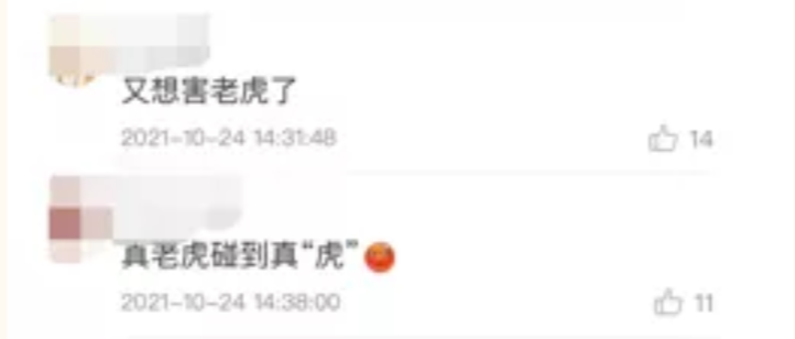 北京律师- 挑衅白虎?!这与“勇敢”无关!-广东国晖北京律师事务所 北京律师- 挑衅白虎?!这与“勇敢”无关!-广东国晖北京律师事务所