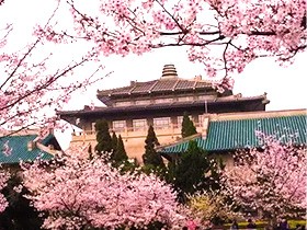 武汉大学