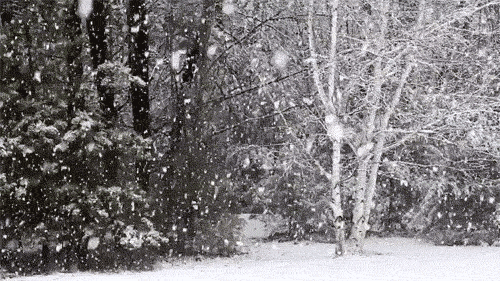 二十四節氣 | 大雪:天地無私玉萬家 二十四節氣 | 大雪:天地無私玉萬家
