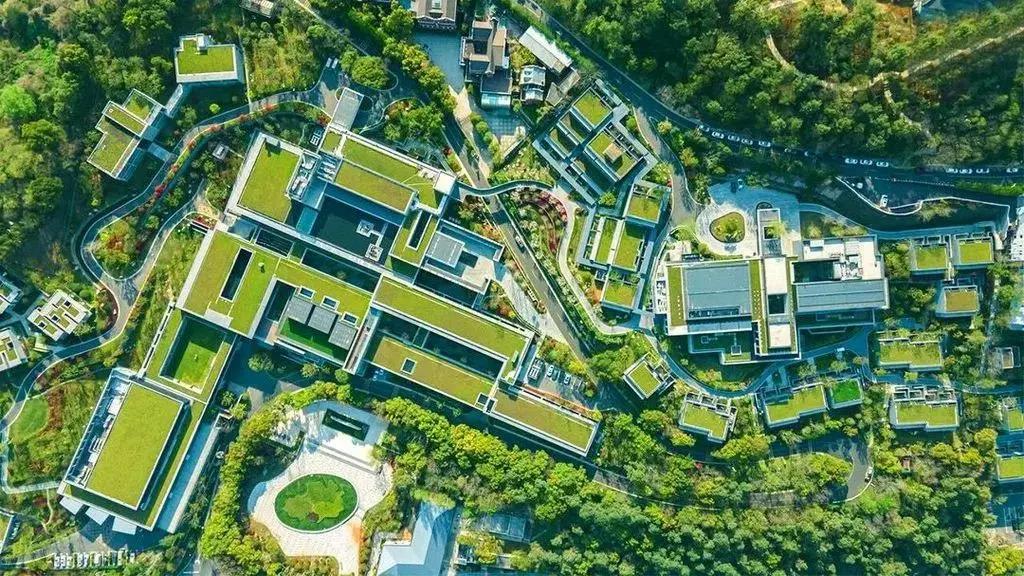 走进南太湖山庄之境|2021葆蒂兰国际集团品牌文化月—南太湖生命谷健康嘉年华！