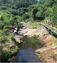 挑战深圳十大高峰第八站 ——马峦山徒步穿越活动