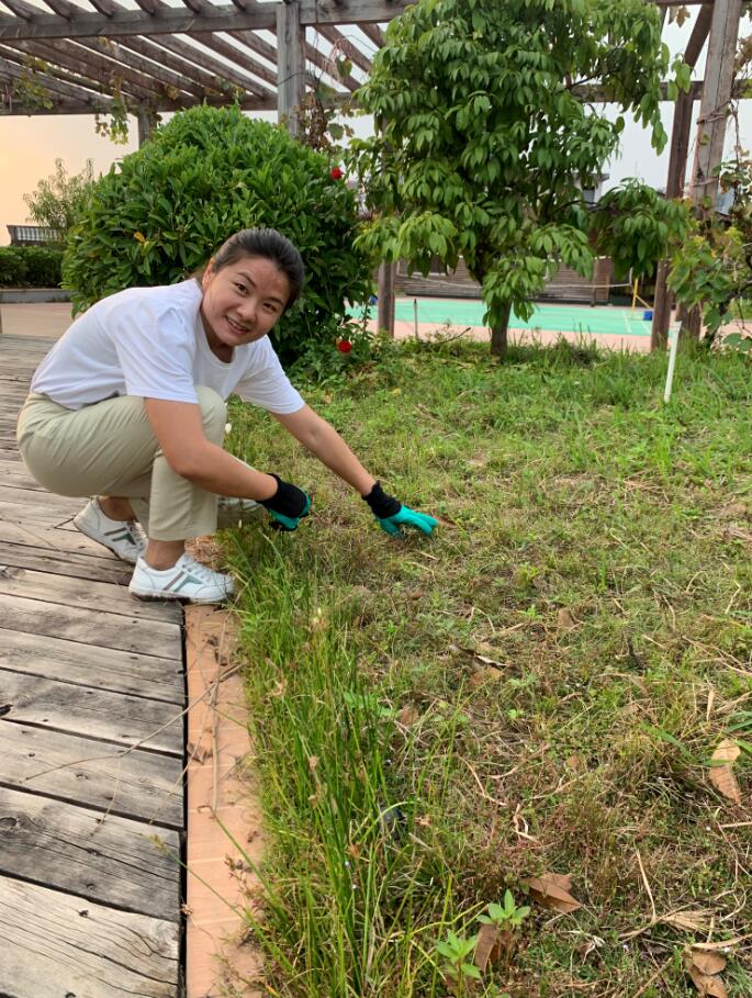 我为群众办实事 ——楼顶花园绿化护理