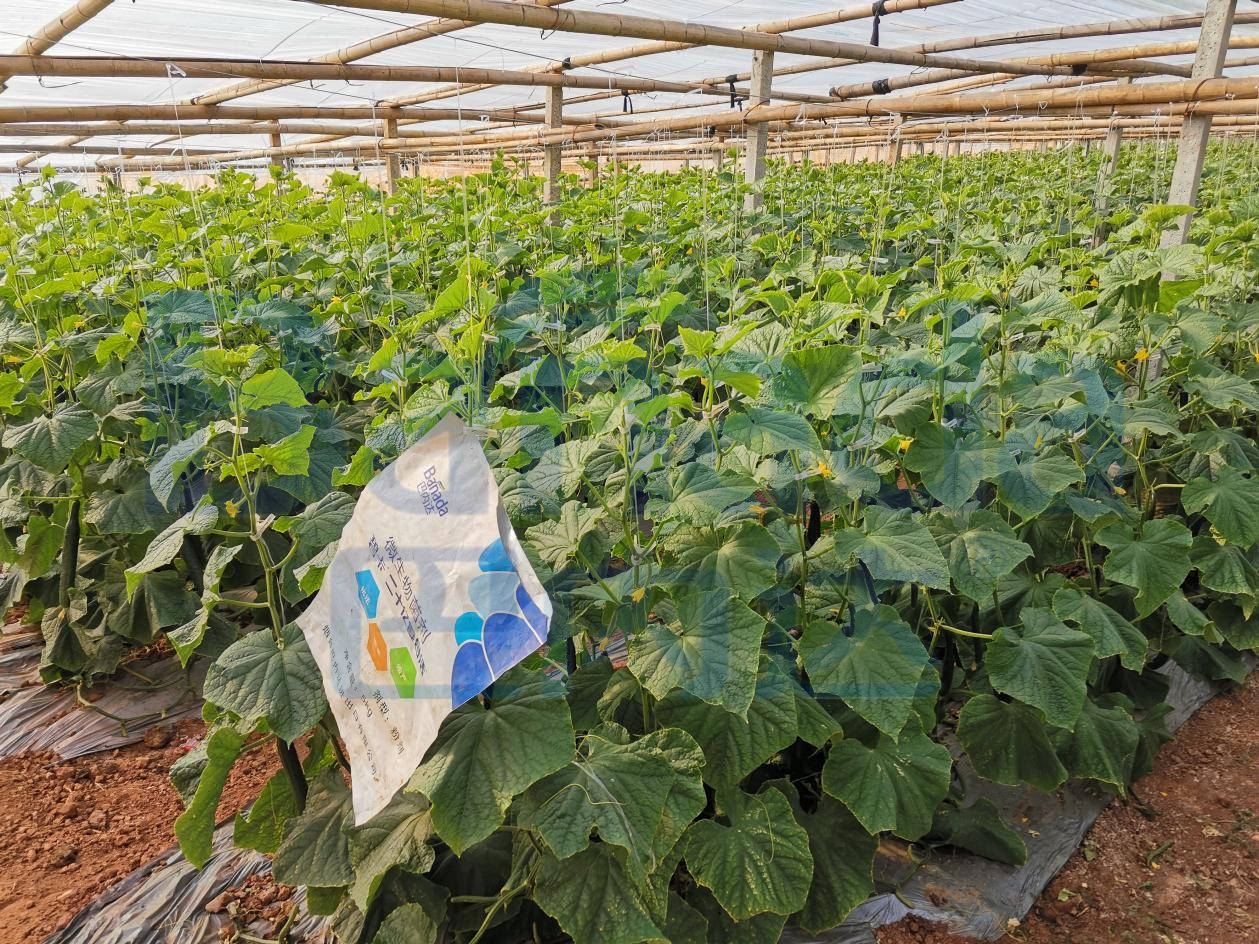 使用微生物菌剂，从外行到行家