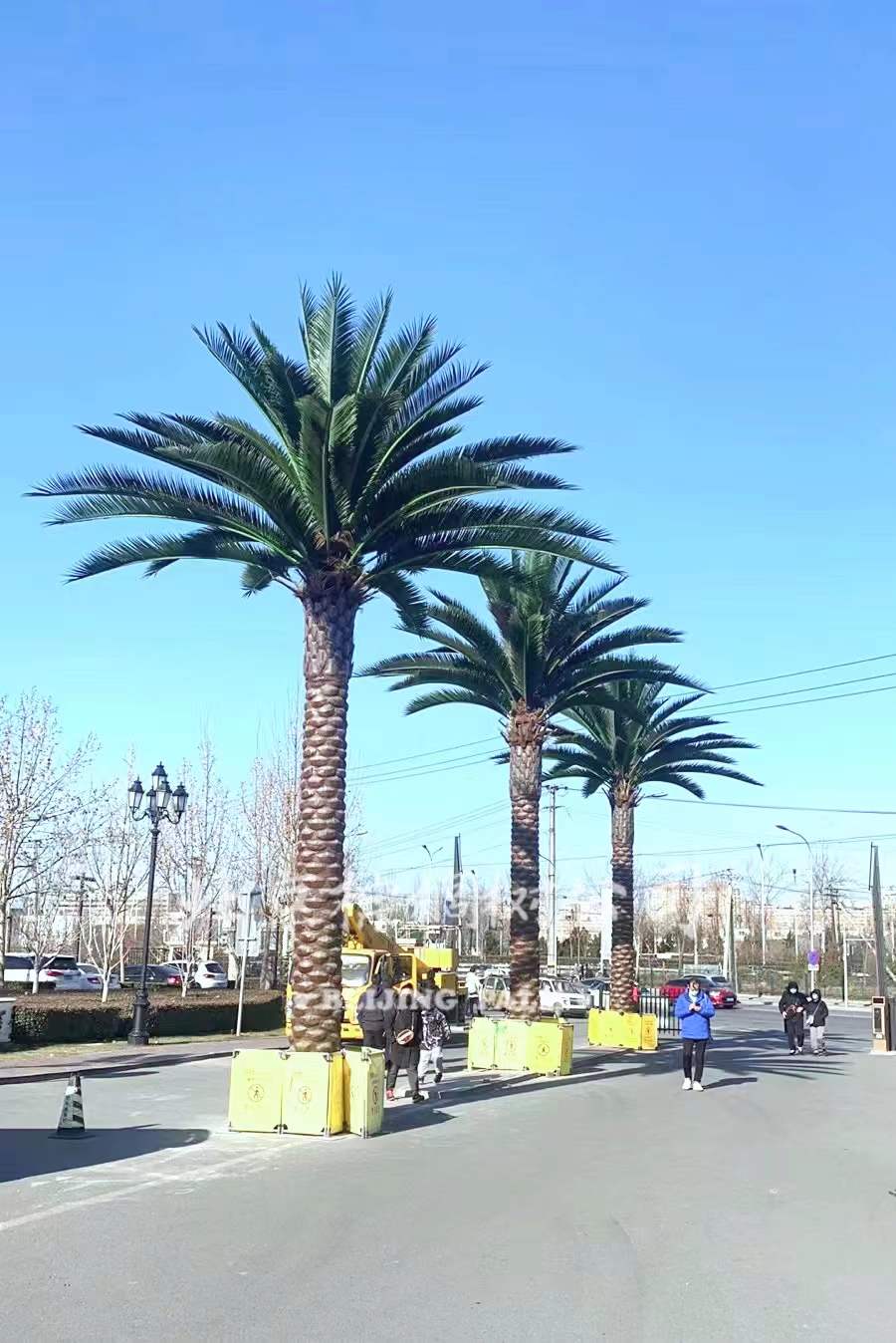 我司目前完成了位于北京花乡奥莱村的仿真景观装饰项目