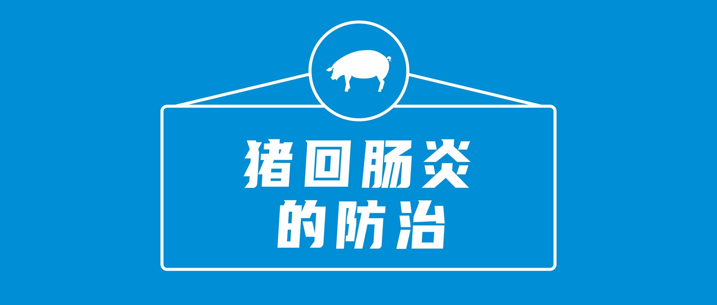 淺談豬回腸炎的防治