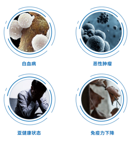 细胞银行 细胞银行
