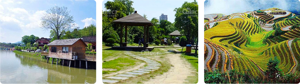 步步驚心吊橋——驚險刺激新體驗 步步驚心吊橋——驚險刺激新體驗
