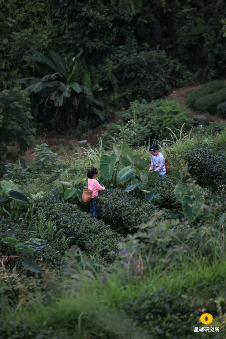 一场人类历史上前所未有的人口大迁移，正在中国发生