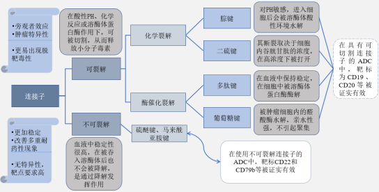 蛋白质交联剂行业市场规模重点企业竞争战略研究及投资战略规划评估咨询