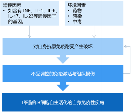 全球及中国自身免疫性疾病药物行业市场规模增长趋势分析预测及投资政策环境分析