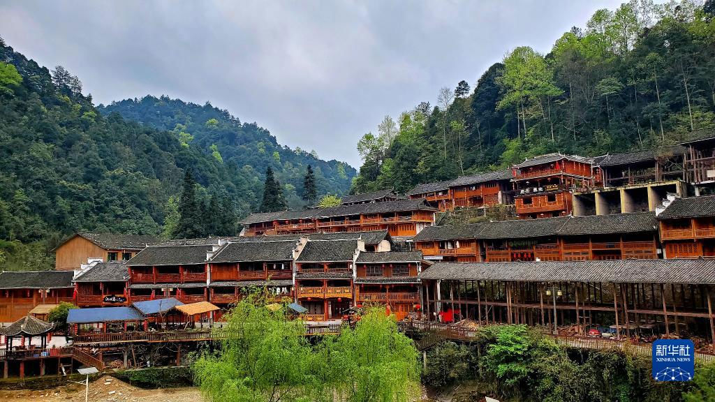六中全会精神在基层|保护与发展实现共赢——贵州佛顶山探访记 六中全会精神在基层|保护与发展实现共赢——贵州佛顶山探访记