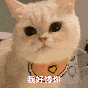 猫咪尝不到甜味？为什么还要抢我的蛋糕吃！
