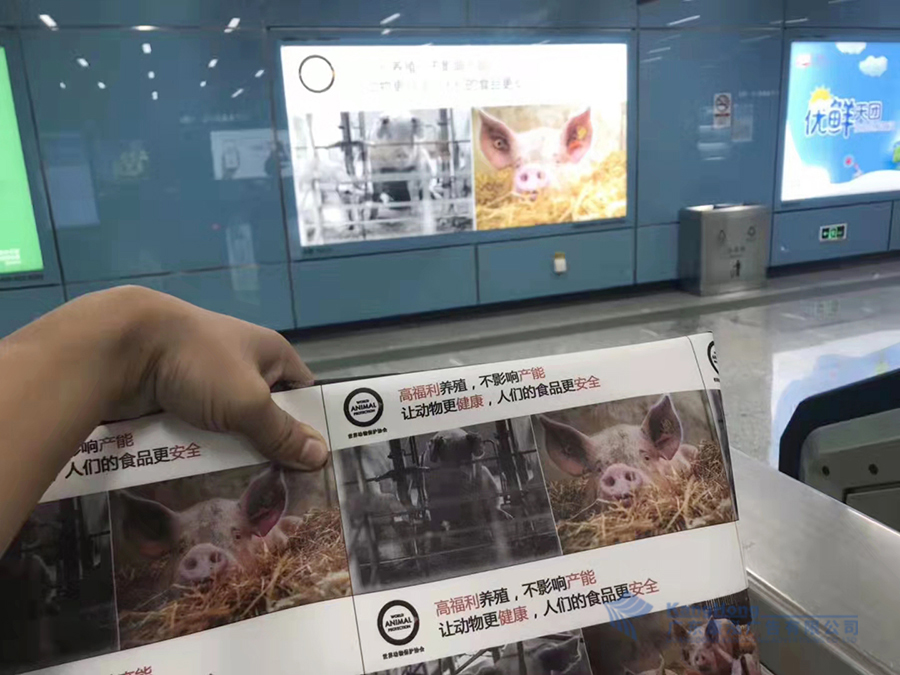 广州地铁网红黑猪媒体广告制作安装项目