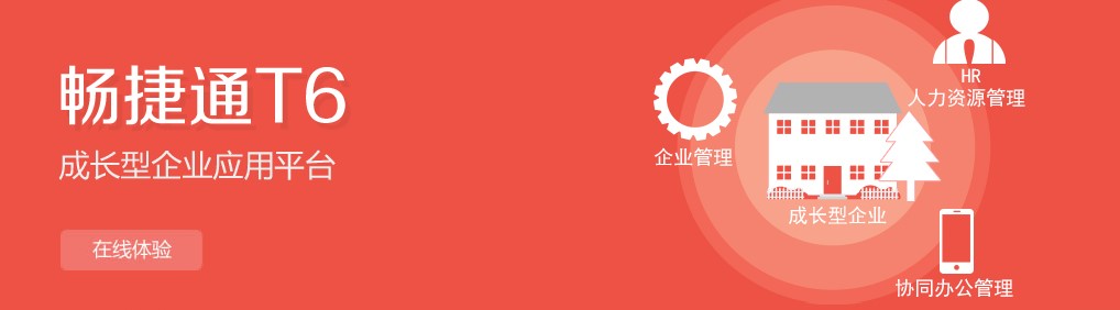 畅捷通T6成长性企业应用平台