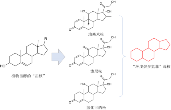 植物甾醇行业市场需求规模分析预测及重点企业运行战略研究