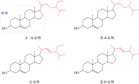 植物甾醇行业市场需求规模分析预测及重点企业运行战略研究