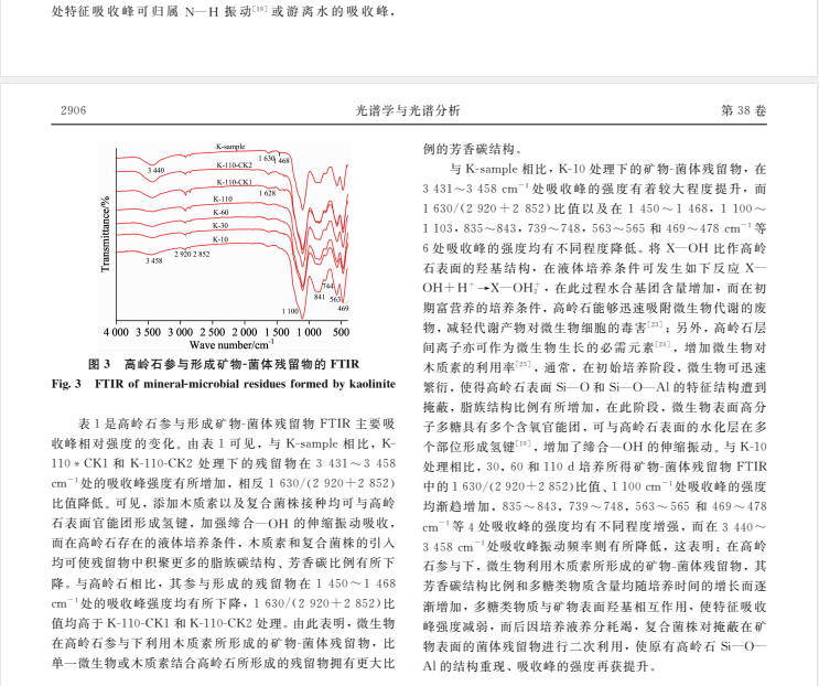 粘土矿物参与微生物利用木质素形成矿物A菌体残留物的结构特征研究