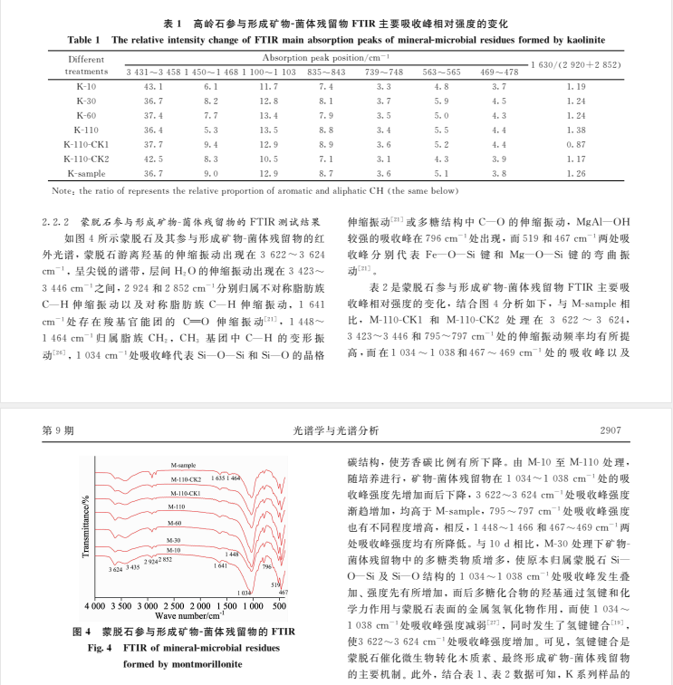 粘土矿物参与微生物利用木质素形成矿物A菌体残留物的结构特征研究