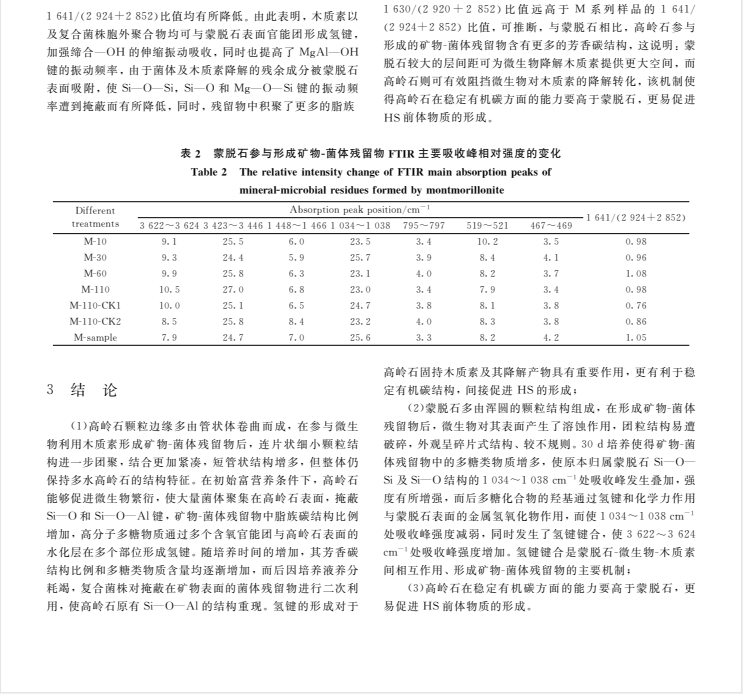 粘土矿物参与微生物利用木质素形成矿物A菌体残留物的结构特征研究