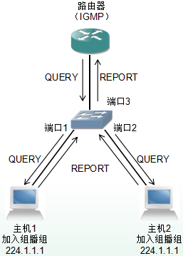 厚石网络IGMP Snooping技术白皮书