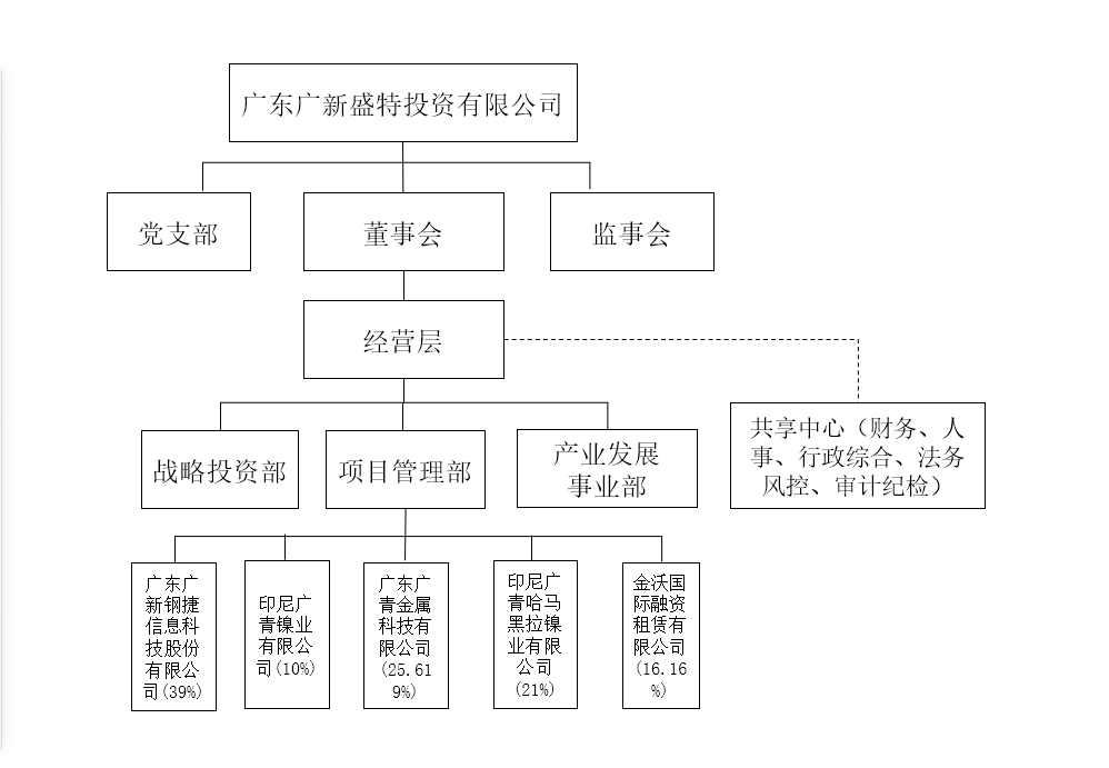 廣東廣新盛特投資有限公司 廣東廣新盛特投資有限公司