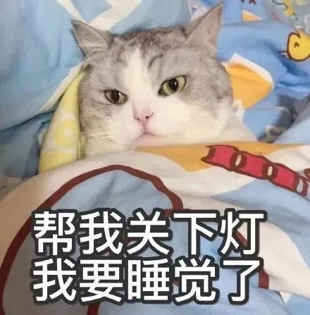 千万不要和猫一起睡觉，否则你半夜会被....