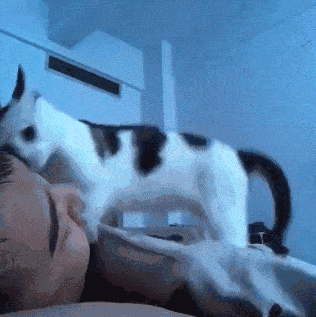 千万不要和猫一起睡觉，否则你半夜会被....