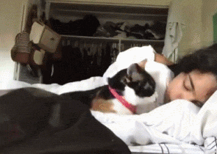 千万不要和猫一起睡觉，否则你半夜会被....