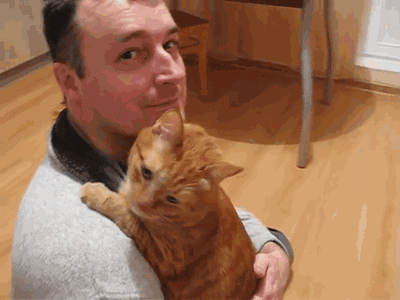 猫咪为啥不让抱？有可能是你抱猫的姿势错了