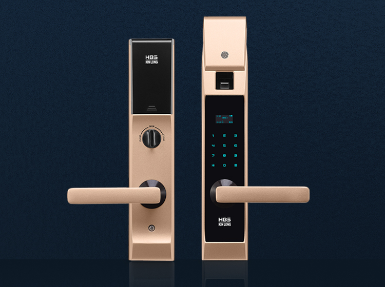 B660 Smart Door Lock
