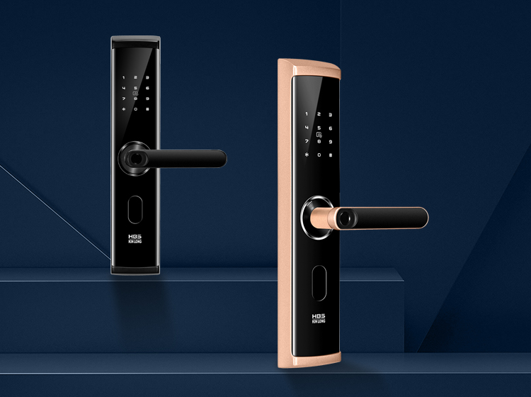 N6300 Smart Door Lock