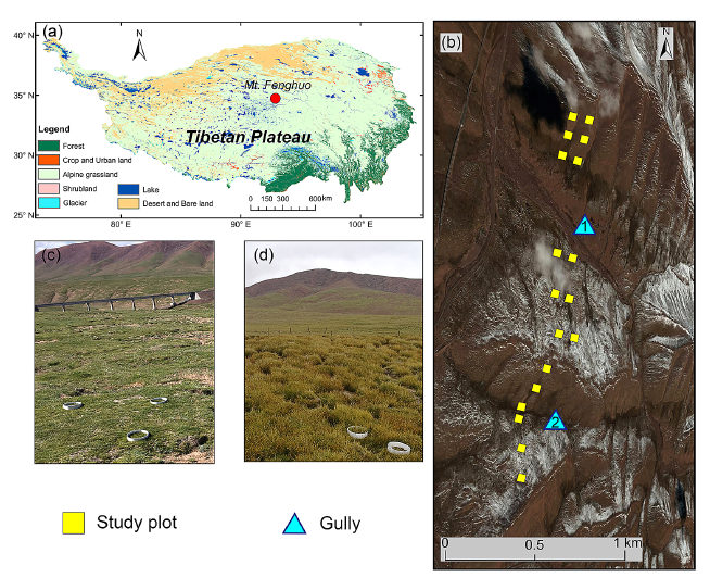 土壤呼吸 | 西藏高寒草地生态系统呼吸与甲烷通量的流域尺度格局及控制因素