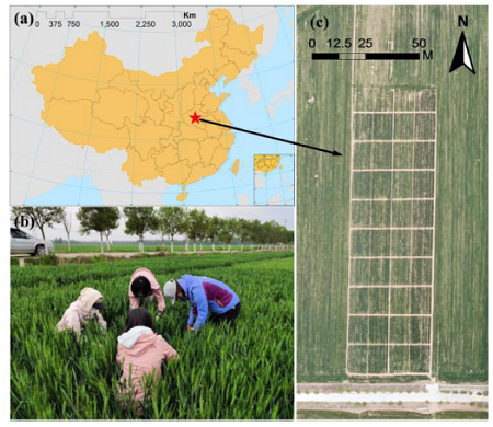 Resonon | Application of Resonon Pika L on winter wheat yield estimation