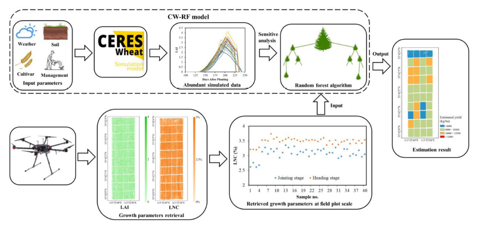 Resonon | Application of Resonon Pika L on winter wheat yield estimation