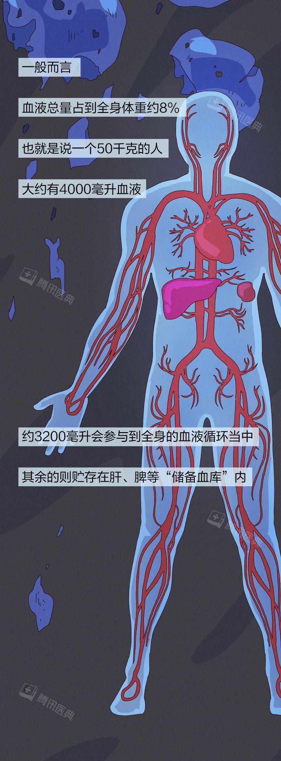 人止不住的大出血，到底有多可怕？