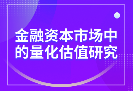 金融资本市场中的量化估值研究