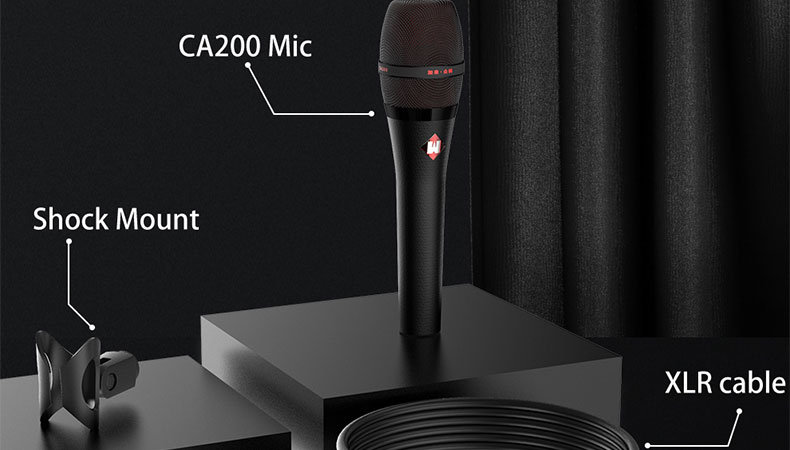 CA200 Handheld Electromagnetic Microphone